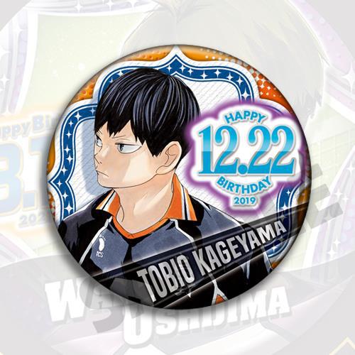배구 하이큐 애니메이션 배지 2019 생일 핀 히나타  - Anime Merchandise Haikyuu 리뷰 및 가격